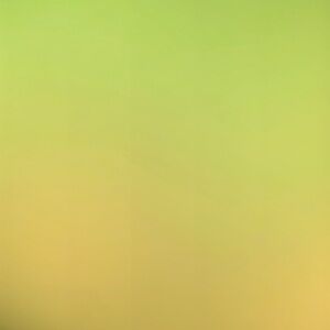 Meet your Posher, Cleo